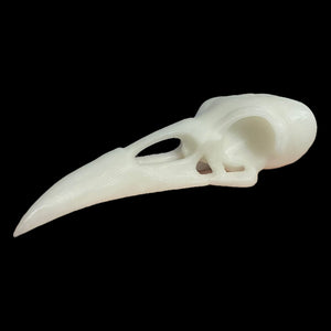 3D Printed Raven Skull