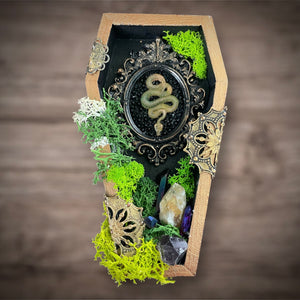 Snake Coffin Frame