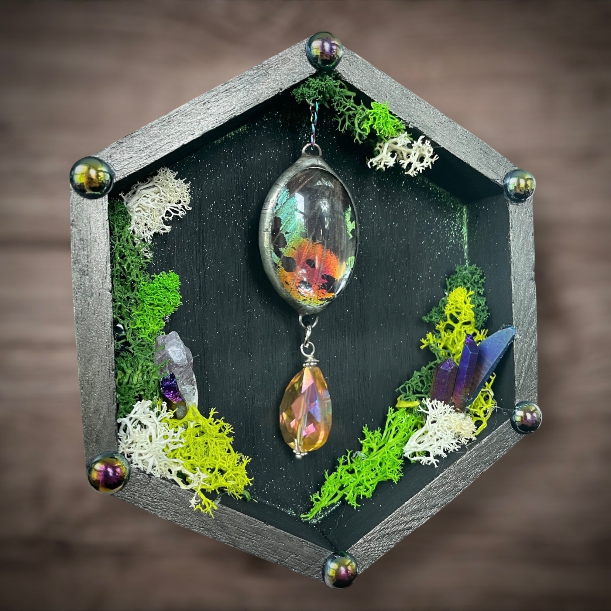 Butterfly Wing Hexagon Frame